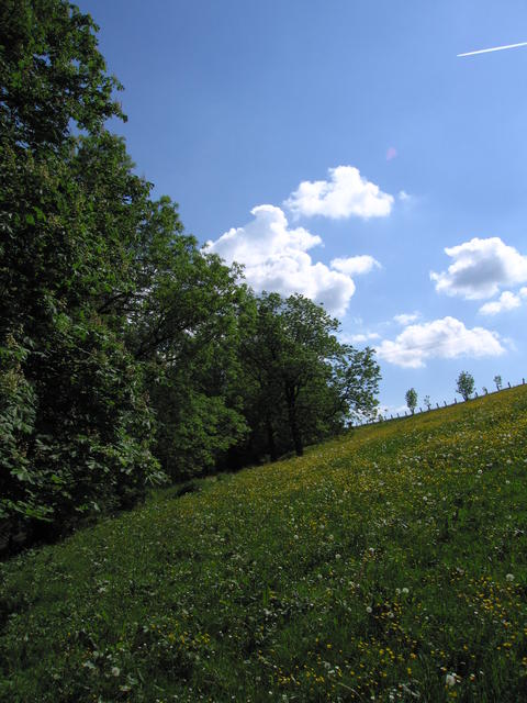 IMG_0723.JPG