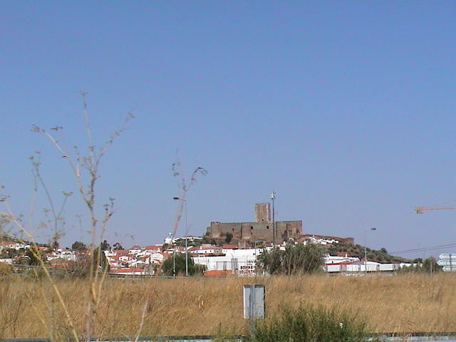 dsc00111.jpg