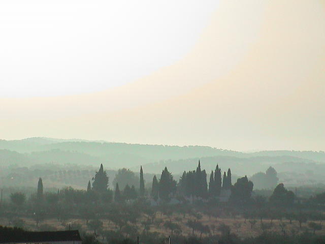 dsc00115.jpg