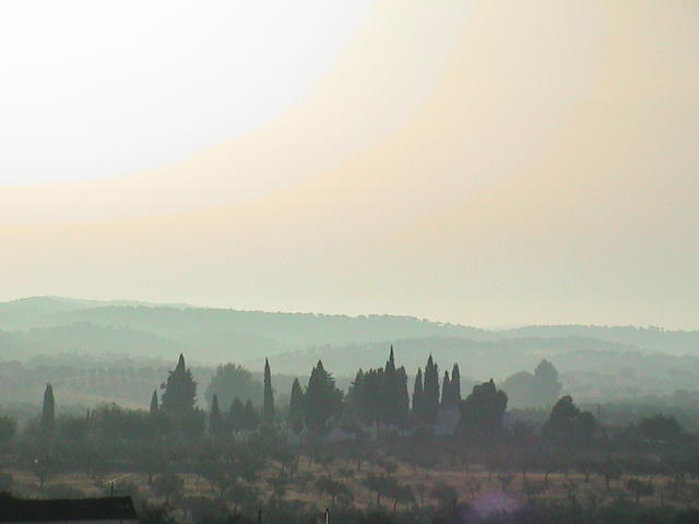 dsc00116.jpg