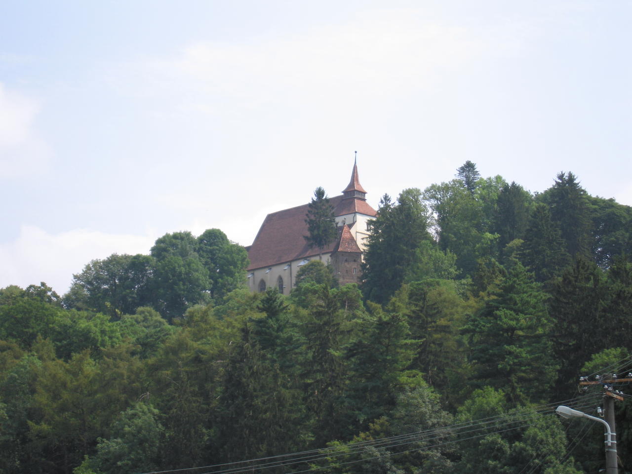 IMG_3561.JPG
