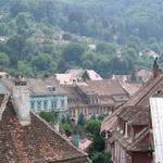 IMG_3562.JPG