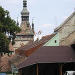 IMG_3566.JPG