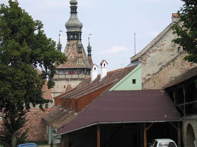 IMG_3566.JPG