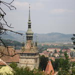 IMG_3567.JPG
