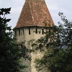IMG_3568.JPG