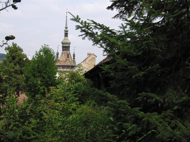 IMG_3569.JPG