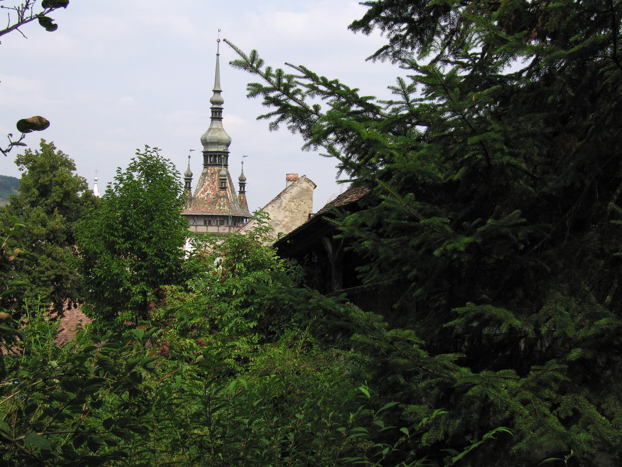 IMG_3569.JPG