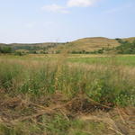 IMG_3580.JPG
