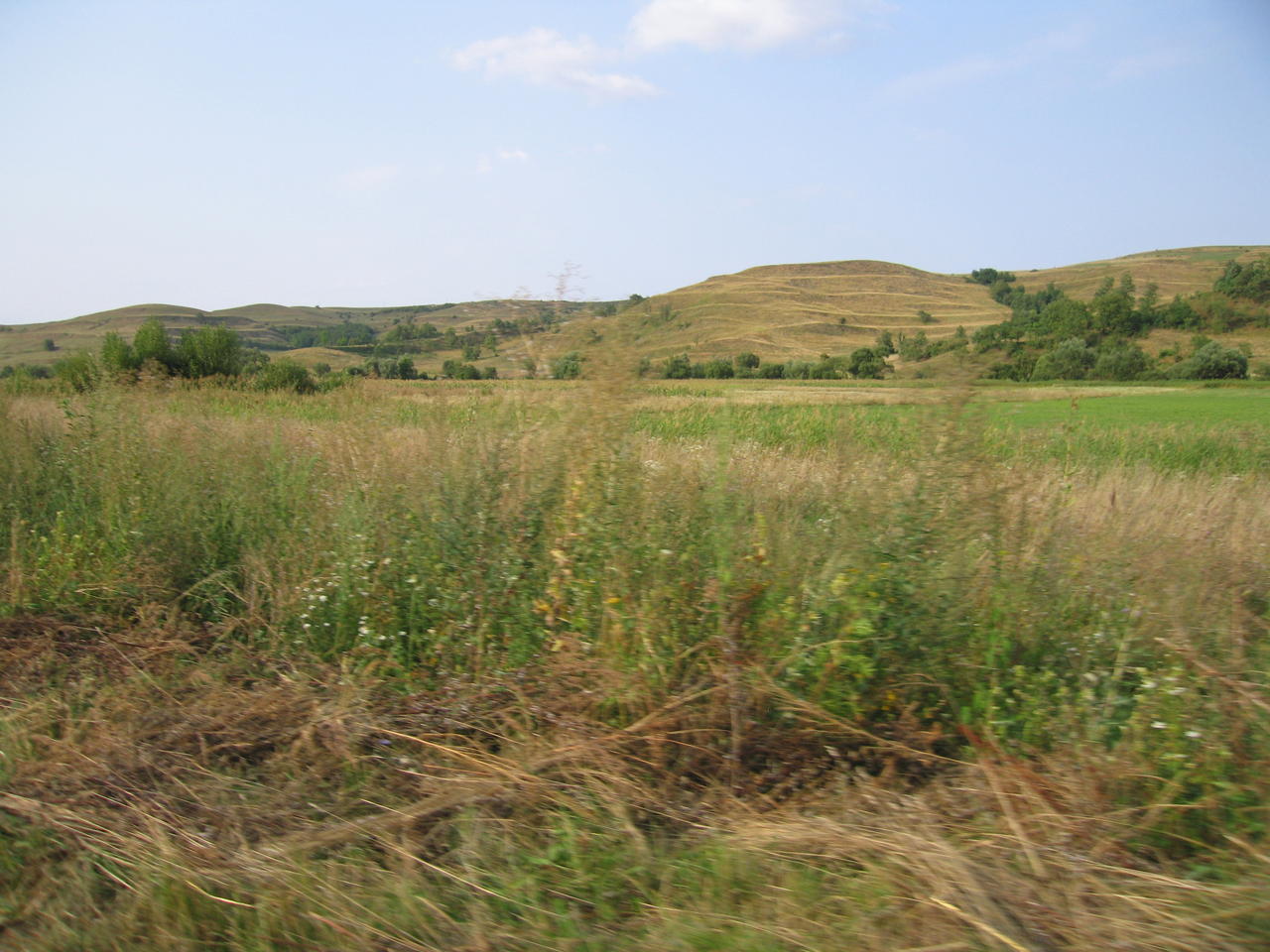 IMG_3580.JPG