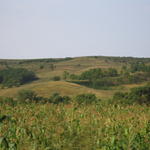 IMG_3581.JPG
