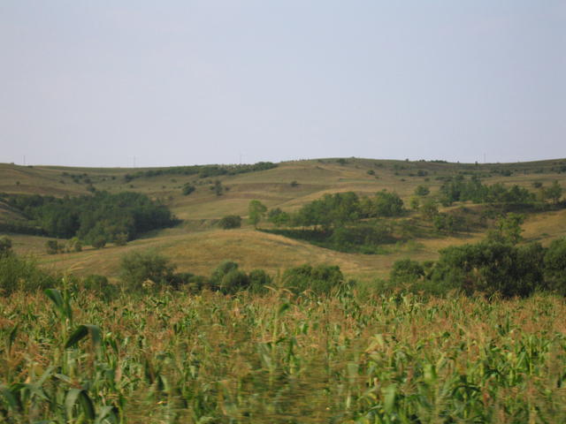 IMG_3581.JPG