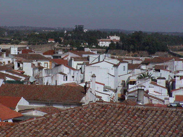 dsc00123.jpg