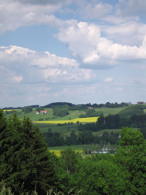 IMG_0725.JPG