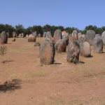 dsc00135.jpg