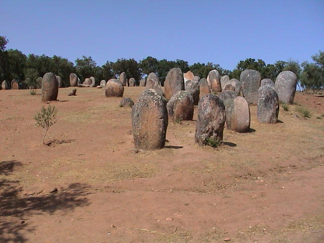 dsc00135.jpg