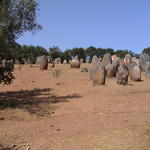 dsc00136.jpg
