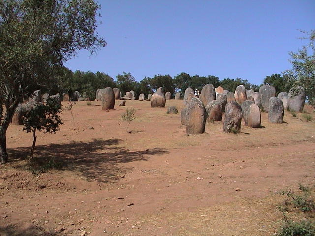 dsc00136.jpg