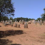 dsc00137.jpg
