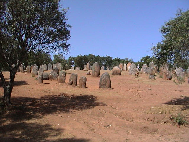 dsc00137.jpg