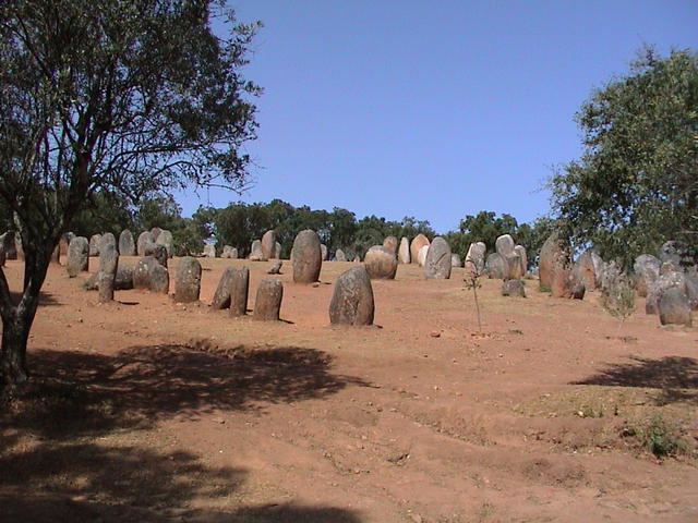 dsc00138.jpg