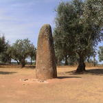 dsc00140.jpg