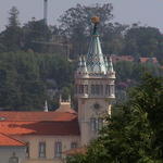 dsc00155.jpg