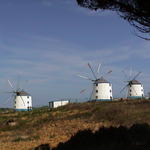 dsc00159.jpg