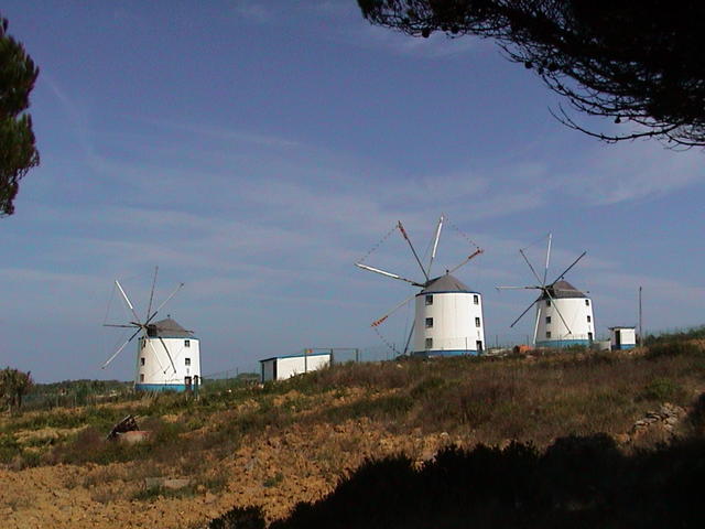 dsc00159.jpg