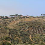 dsc00161.jpg