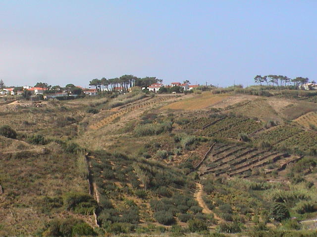 dsc00161.jpg