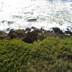 dsc00167.jpg