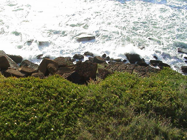 dsc00167.jpg