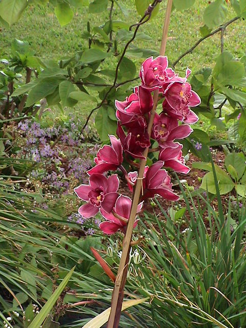 dsc00081.jpg