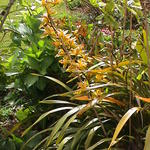 dsc00082.jpg