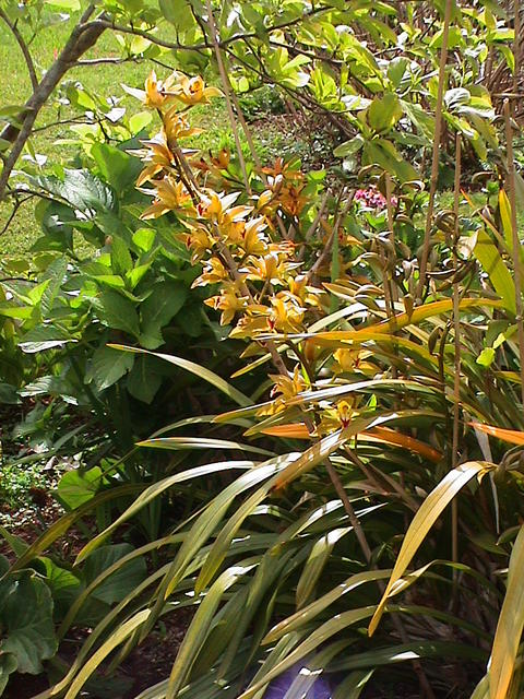 dsc00082.jpg