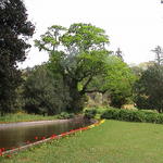 dsc00085.jpg