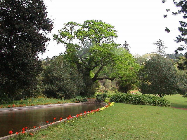 dsc00085.jpg