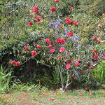 dsc00090.jpg