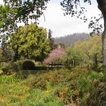 dsc00092.jpg