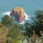 dsc00095.jpg