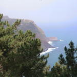 dsc00096.jpg