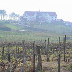 dsc00100.jpg