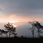 dsc00102.jpg