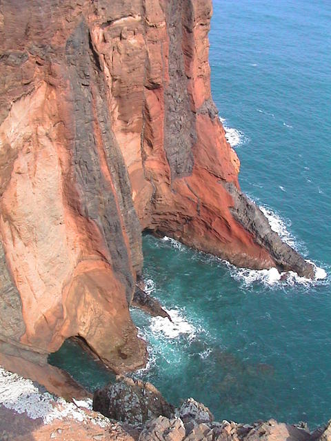 dsc00110.jpg