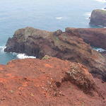 dsc00115.jpg