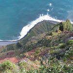 dsc00122.jpg