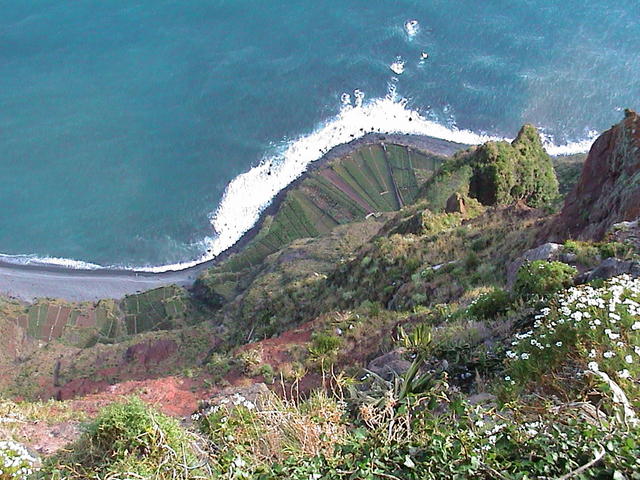 dsc00122.jpg