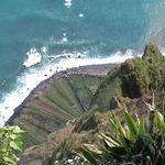 dsc00124.jpg