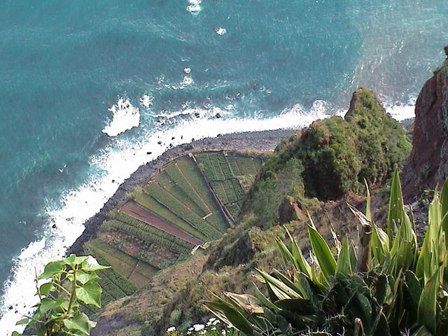 dsc00124.jpg